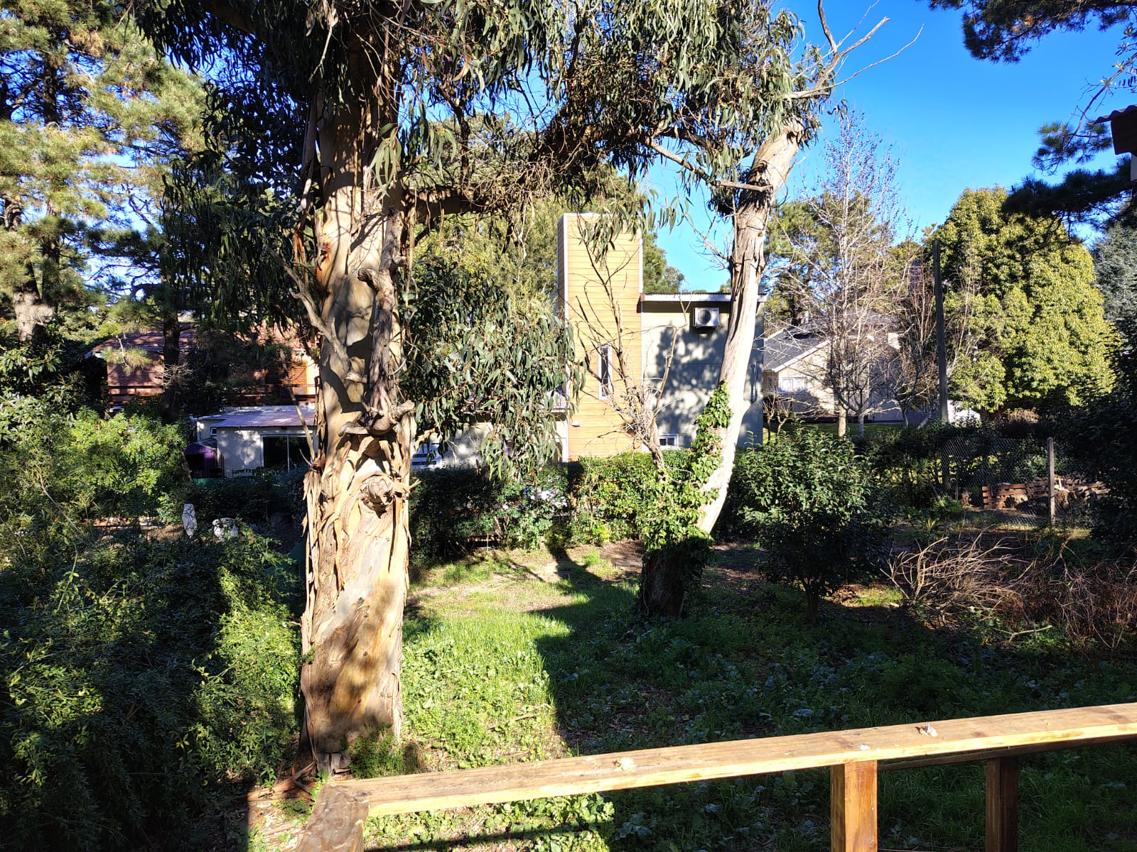 WhatsApp Image 2025-07-18 at 17.08.58.jpeg